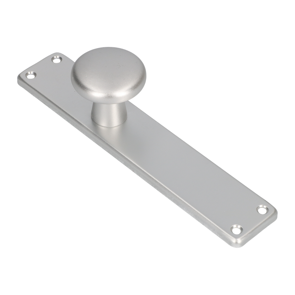 AMI Knop 160/50 Vast Langschild 212/41 RH Blind F1 - 313791 afbeelding