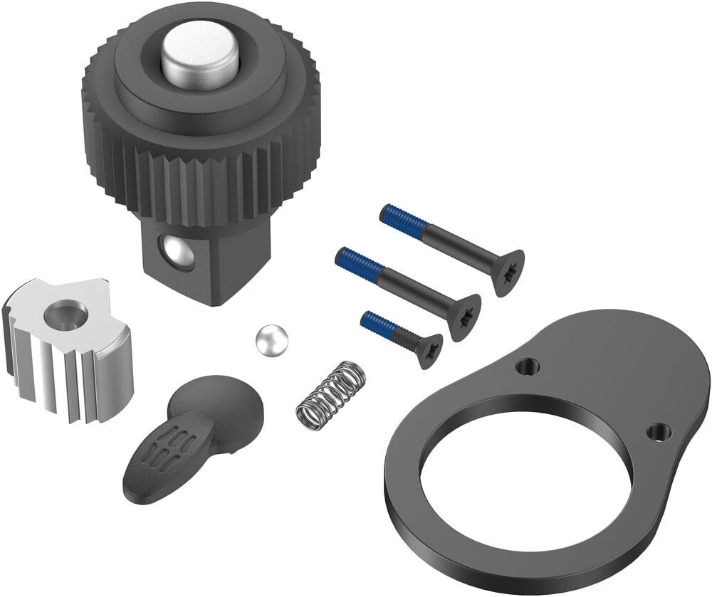 Wera 9909 E 1 ratelreparatieset voor Click-Torque E 1 draaimomentsleutel - 05547638001