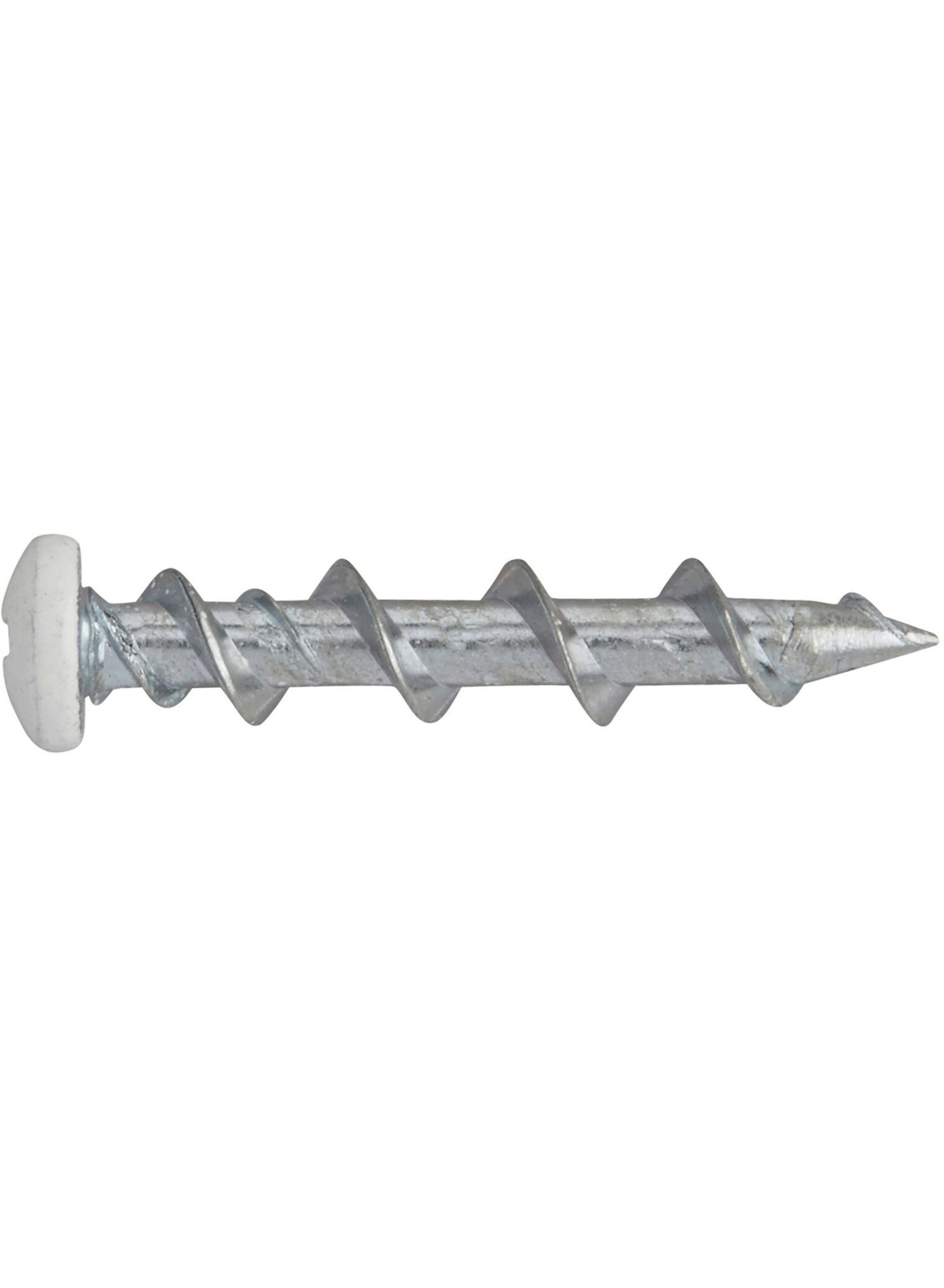DeWalt Accessoires Walldog 32MM Bolkop WIT (100 stuks) - DFM425000P