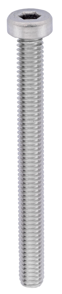Connex Bzk Bout Lage Kcil M6X60 2St Rvs-A4 DY4880660