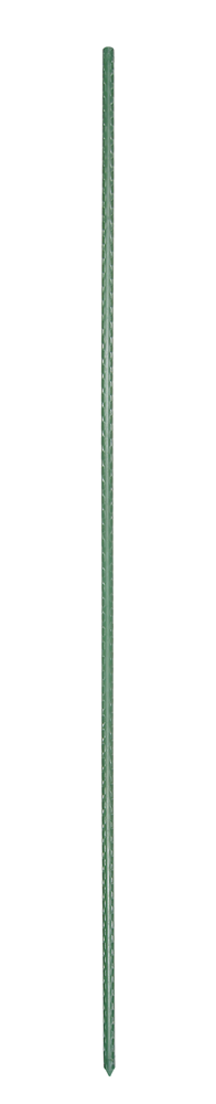 Meister Plantenstok Groen Metaal 11X900Mm FLOR78409