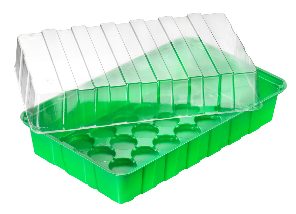 Connex Kweekbak 36X22X13Cm (Klassiek) FLOR79020
