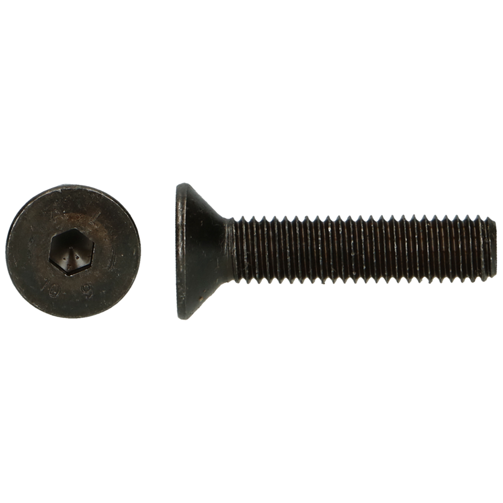 pgb-Europe PGB-FASTENERS | BZK-schroef VK 10.9 VD D. 7991 M 4x20 | 500 st 7991100004000200