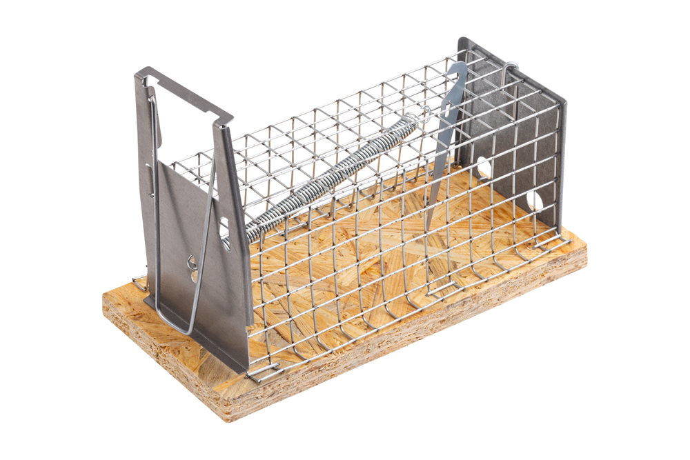 Connex Muizenval Metalen Kooi 15X6X6Cm - MFKA