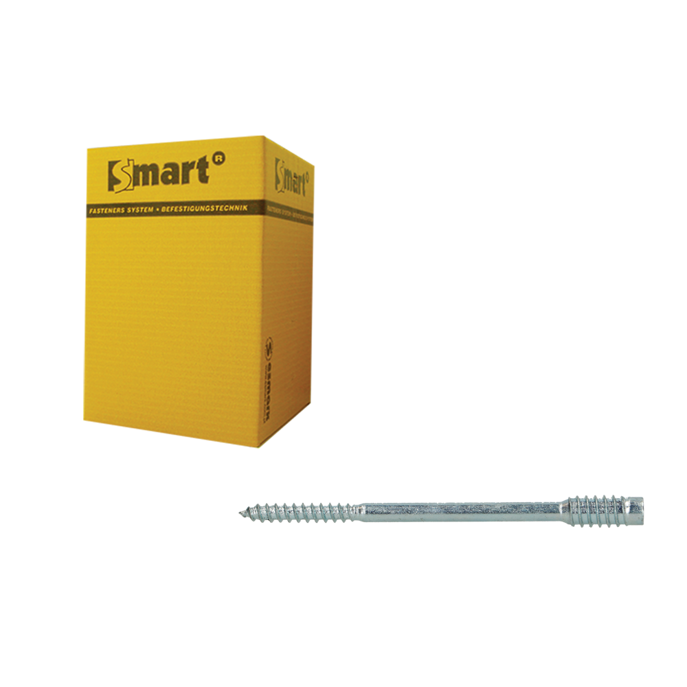 pgb-Europe SMART | Afstandschroef T-drive T25 Ø 4,5x100 Zn | 100 st SM0SSC0010451003