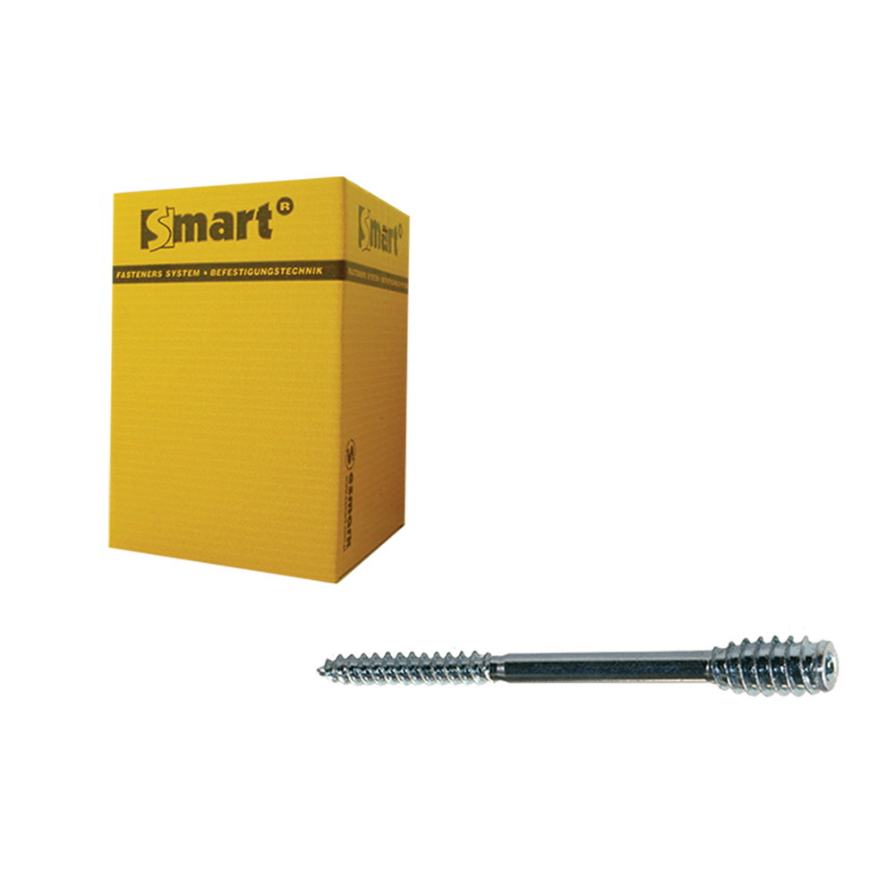 pgb-Europe SMART | Afstandschroef T-drive T25 Ø 6x100 Zn | 50 st - SM0SSC0010601003