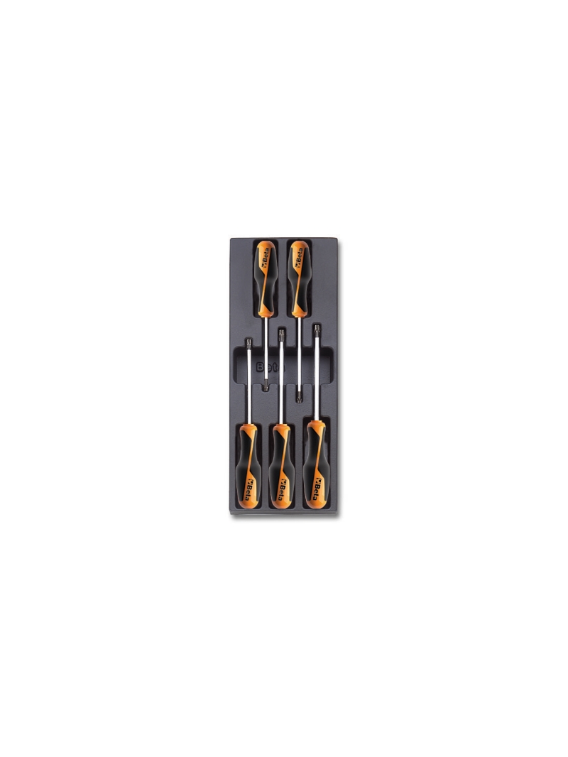 Beta Harde voorgevormde inzetbakken met assortiment gereedschap T206 - 024240206