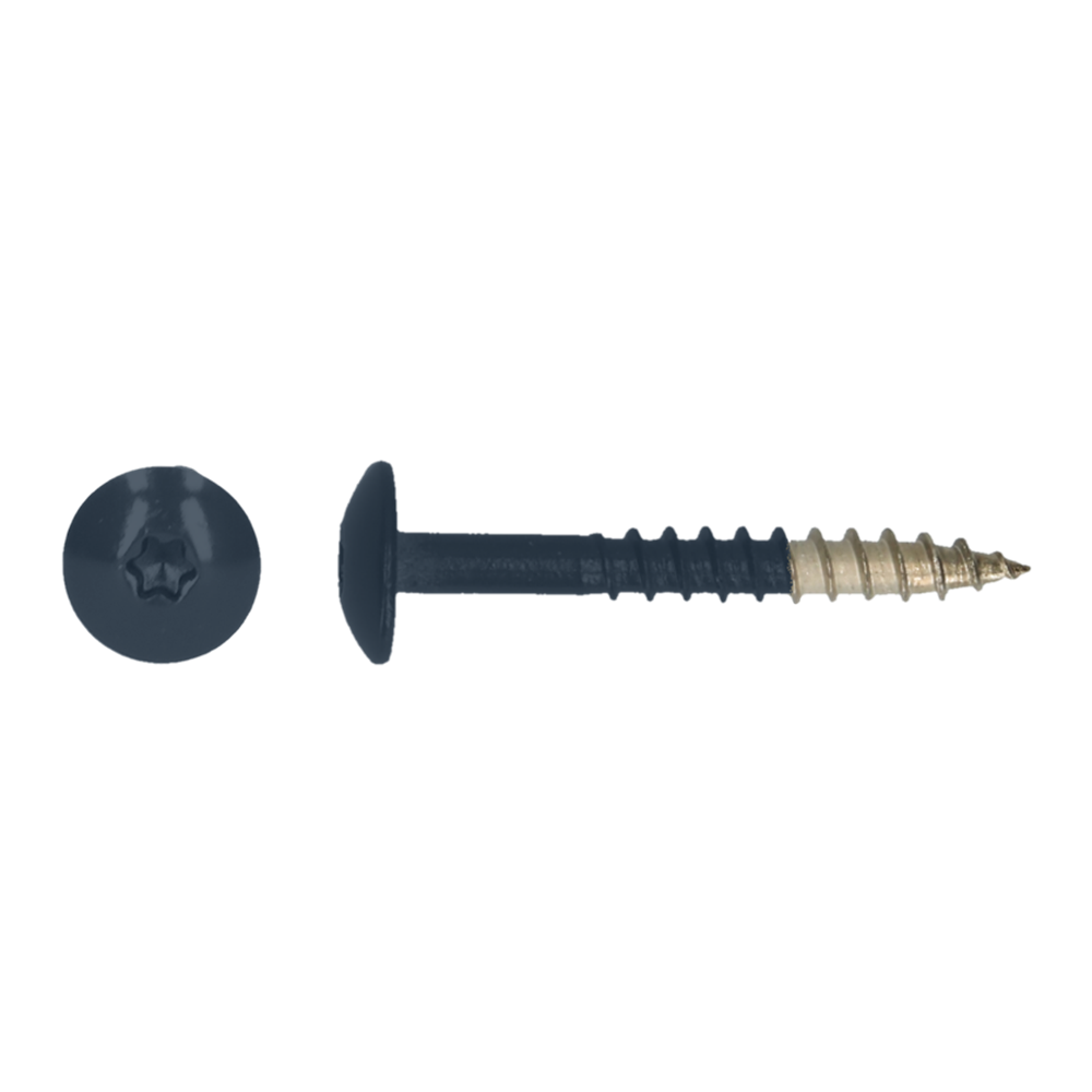 pgb-Europe PGB-FASTENERS | HPL schroef Tx20 4,8x38 R5011 A4 TRESP0A00038050113