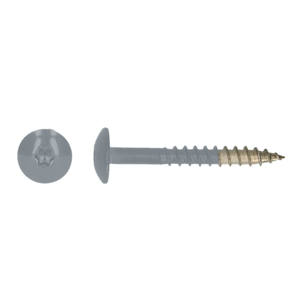 pgb-Europe PGB-FASTENERS | HPL schroef Tx20 4,8x38 R7001 A4 TRESP0A00038070013
