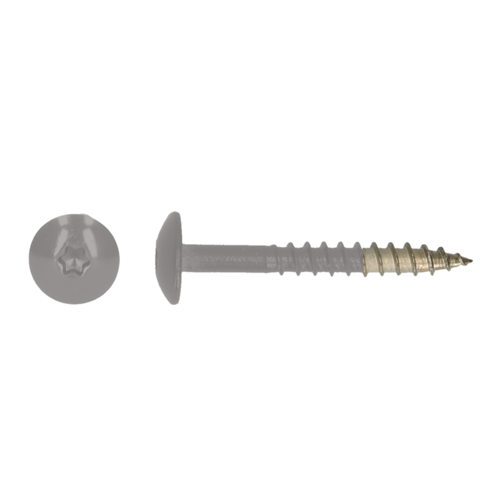 pgb-Europe PGB-FASTENERS | HPL schroef Tx20 4,8x38 R7036 A4 TRESP0A00038070363