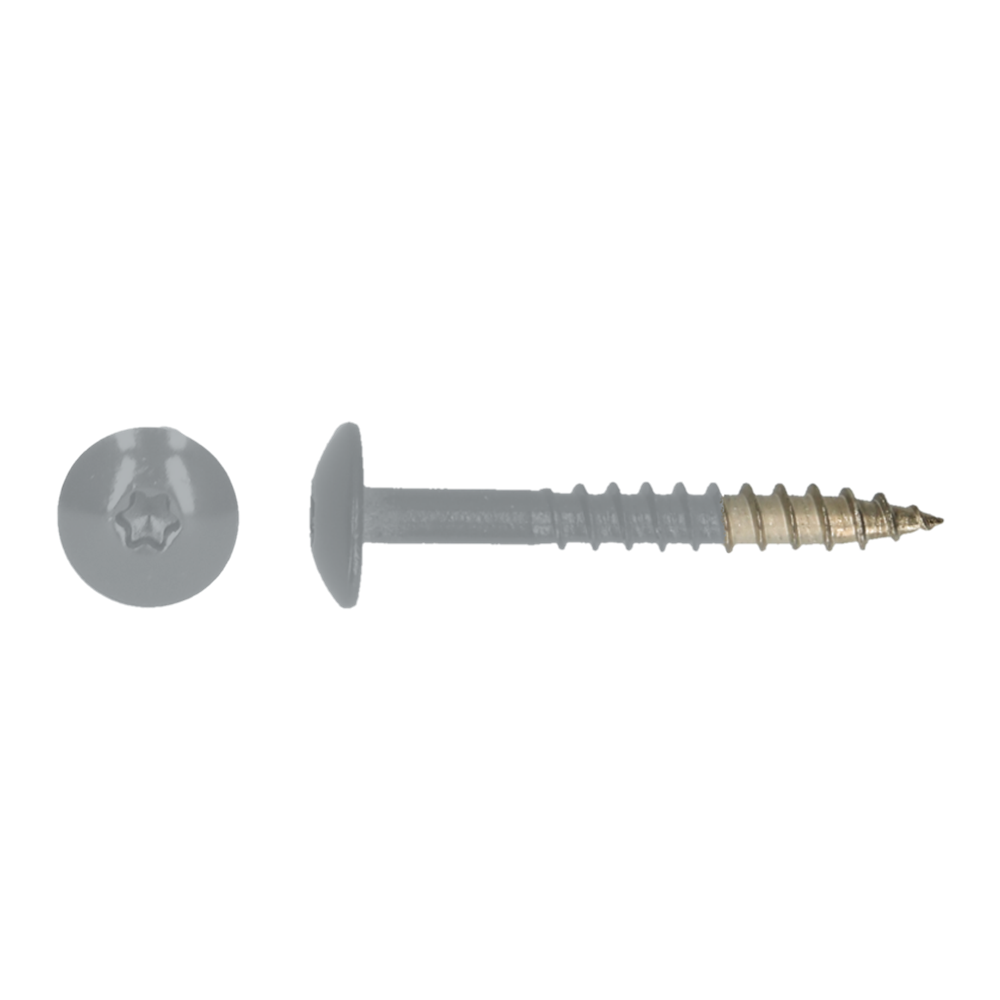 pgb-Europe PGB-FASTENERS | HPL schroef Tx20 4,8x38 R7040 A4 TRESP0A00038070403