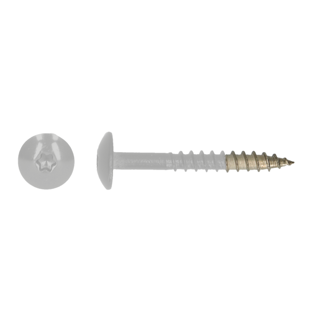pgb-Europe PGB-FASTENERS | HPL schroef Tx20 4,8x38 R7047 A4 TRESP0A00038070473