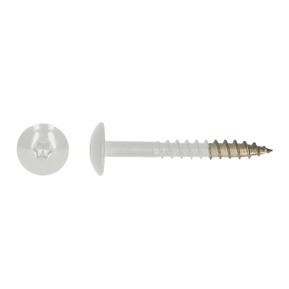 pgb-Europe PGB-FASTENERS | HPL schroef Tx20 4,8x38 R9003 A4 TRESP0A00038090033