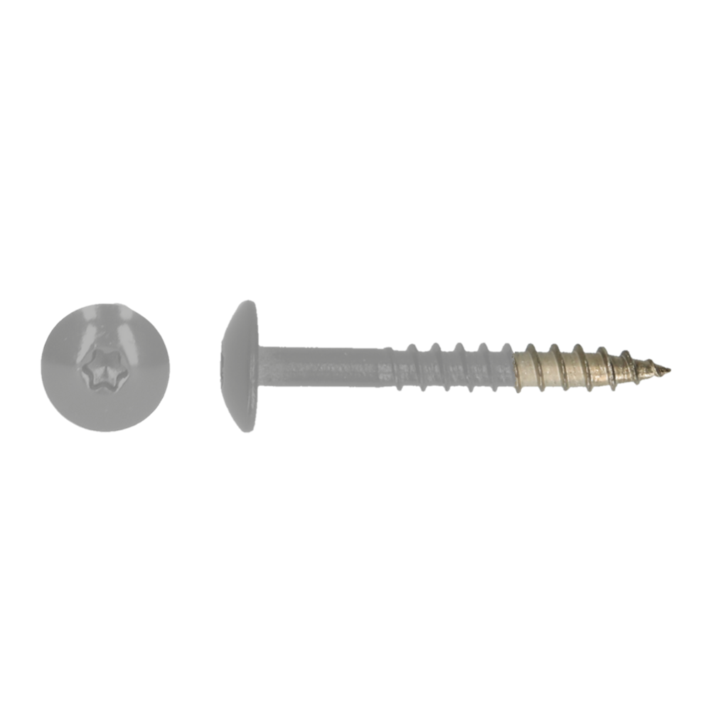 pgb-Europe PGB-FASTENERS | HPL schroef Tx20 4,8x38 R9006 A4 TRESP0A00038090063