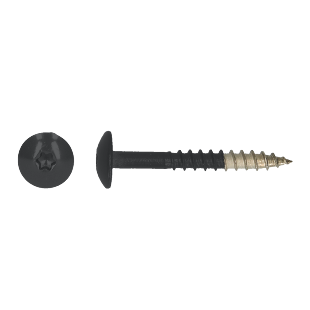 pgb-Europe PGB-FASTENERS | HPL schroef Tx20 4,8x38 R9011 A4 - TRESP0A00038090113