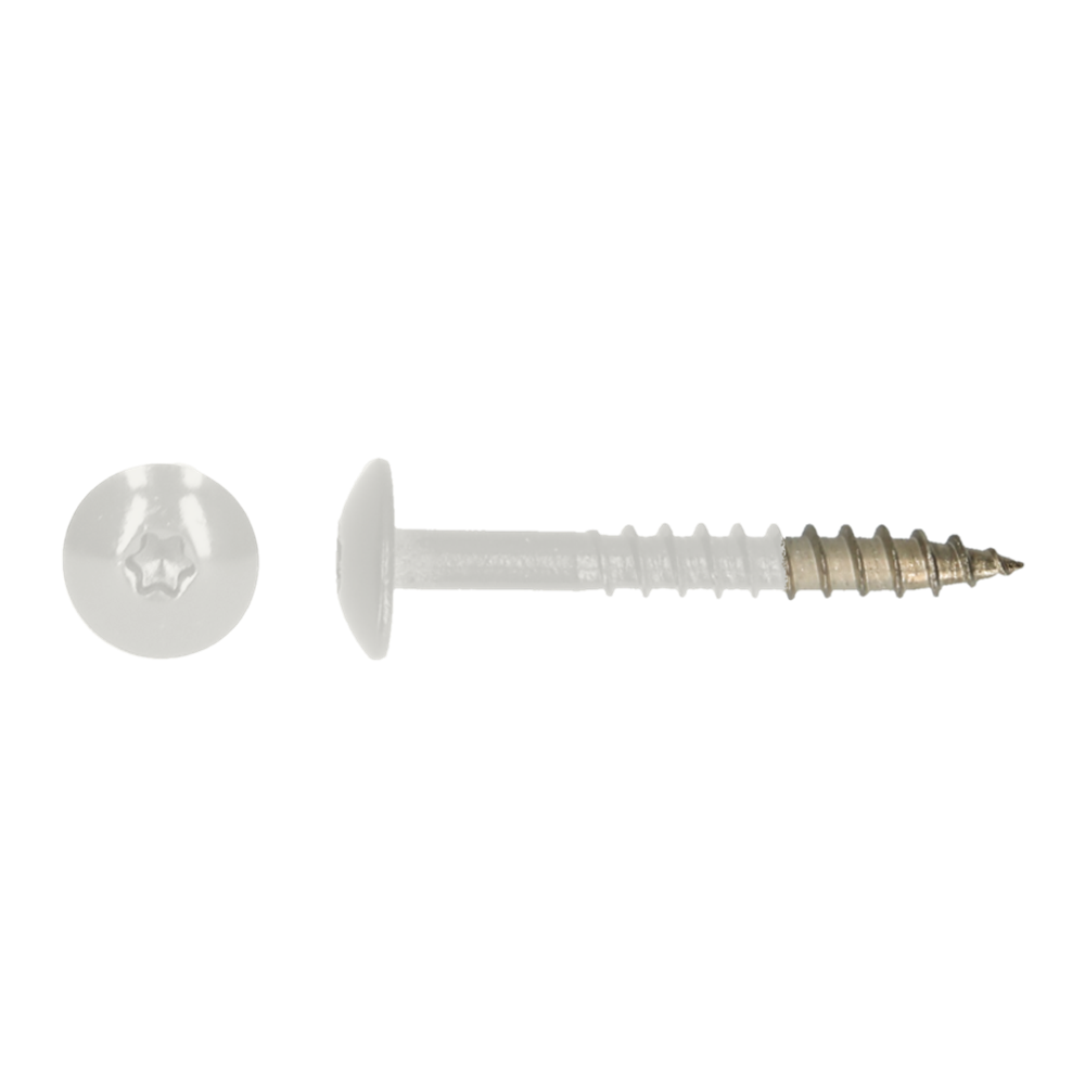 pgb-Europe PGB-FASTENERS | HPL schroef Tx20 4,8x38 R9016 A4 - TRESP0A00038090163