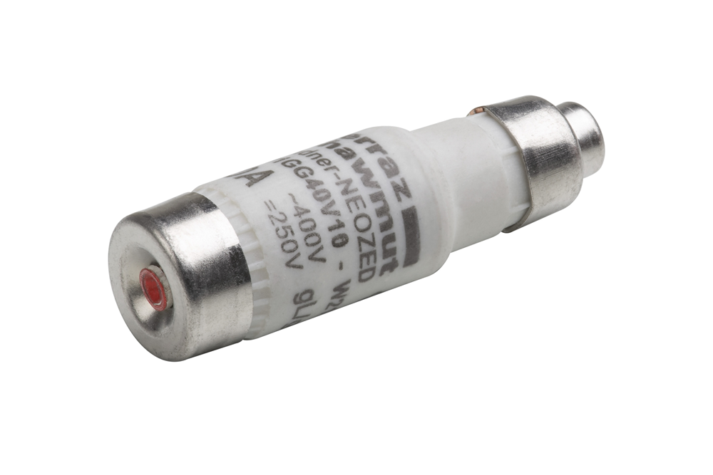 Meister Zekering D01/E14 16A Traag 10St W - WU7446440