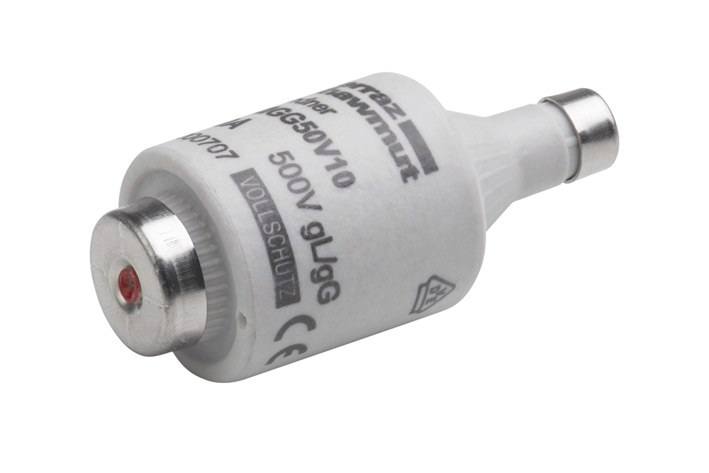 Meister Zekering Dii E27 10A Traag 5St W WU7446480
