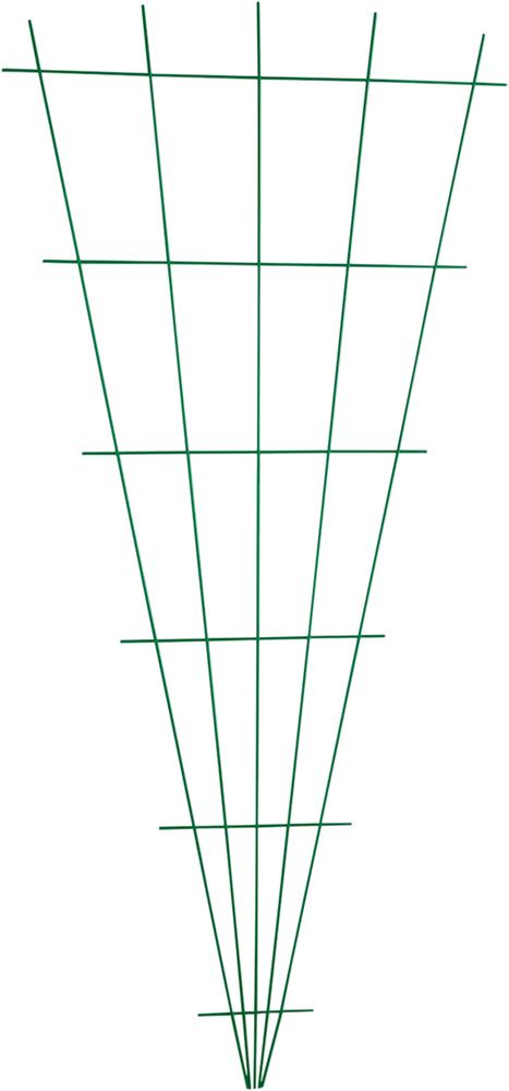 Meister Rozenklimrek Plant V-Vormig Groen WU9965150