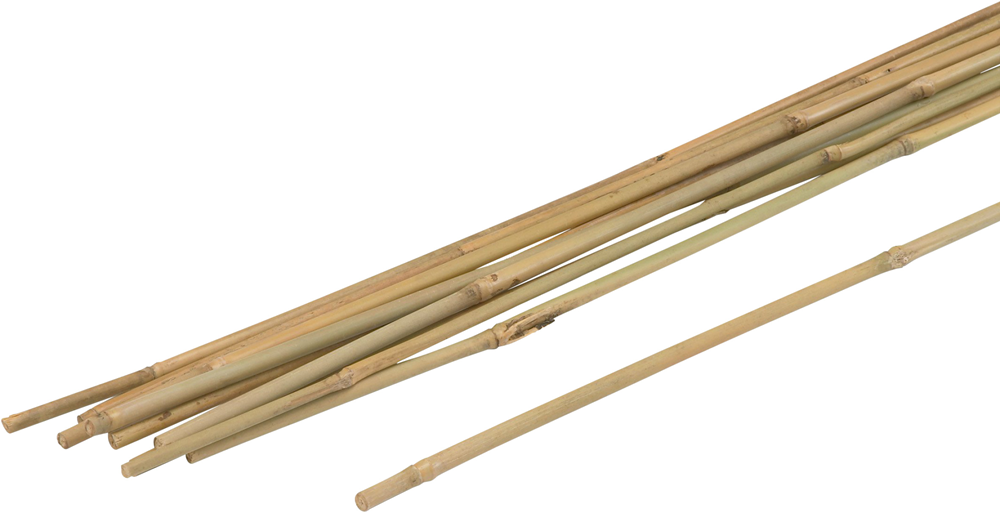 Meister Plantenstok Bamboe 90Cm (10St) - WU9966400