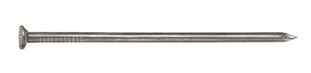 Connex Nagel 3.1X80Mm Rk Vz Emmer 1.5Kg B30052