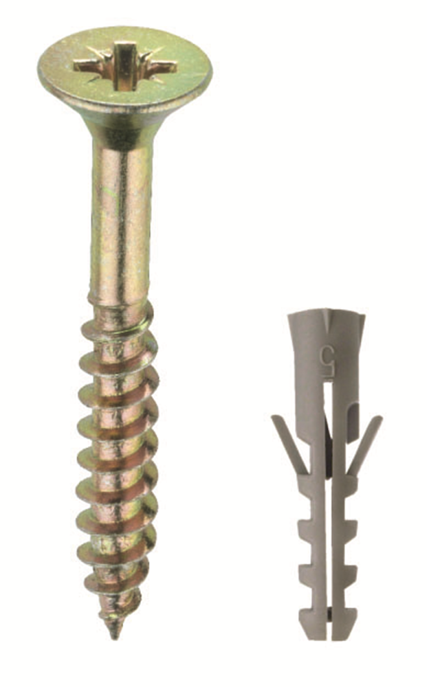 Connex Pz-Schroef 6.0X80 + Plug Bag 25St - B33385