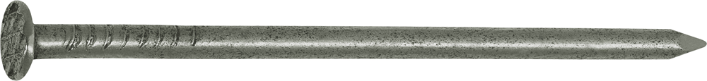 Connex Nagel Platte Kop 2.2X50 2.5Kg Fe - DH1012250