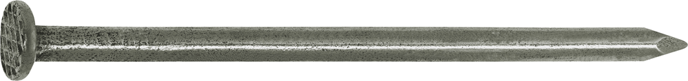 Connex Nagel Platte Kop 2.8X65 2.5Kg Fe - DH1012865
