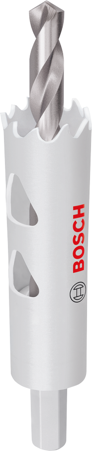 Bosch Accessoires EXPERT Sheet Metal-gatzaag met as | 19 x 40 mm - 2608594510