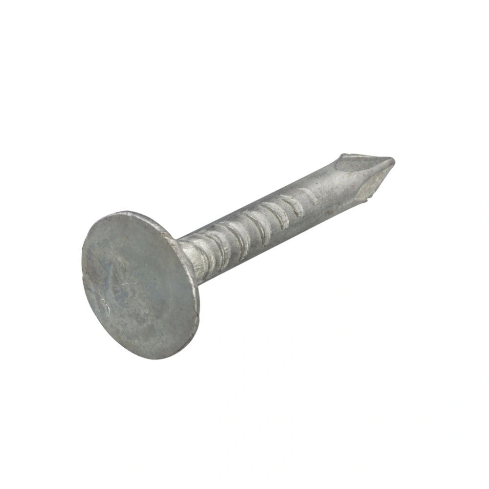 Homefix Asfaltnagel Vz 3.0X20 | 1 kg - 6702.40.20040