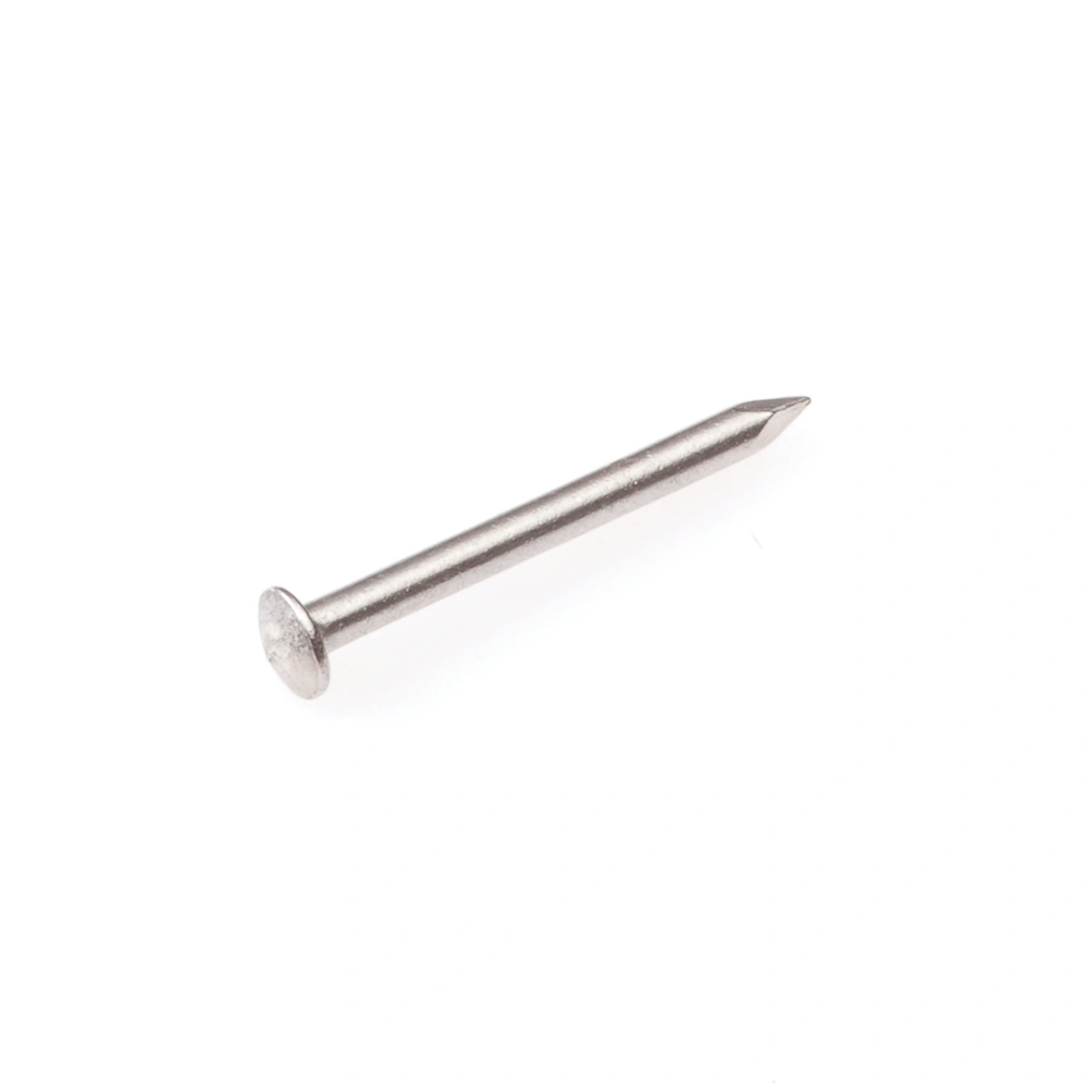 Homefix Draadnagel Rvs-A2 Bombekop 1.6X25 | 40 gram - 6701.60.50020