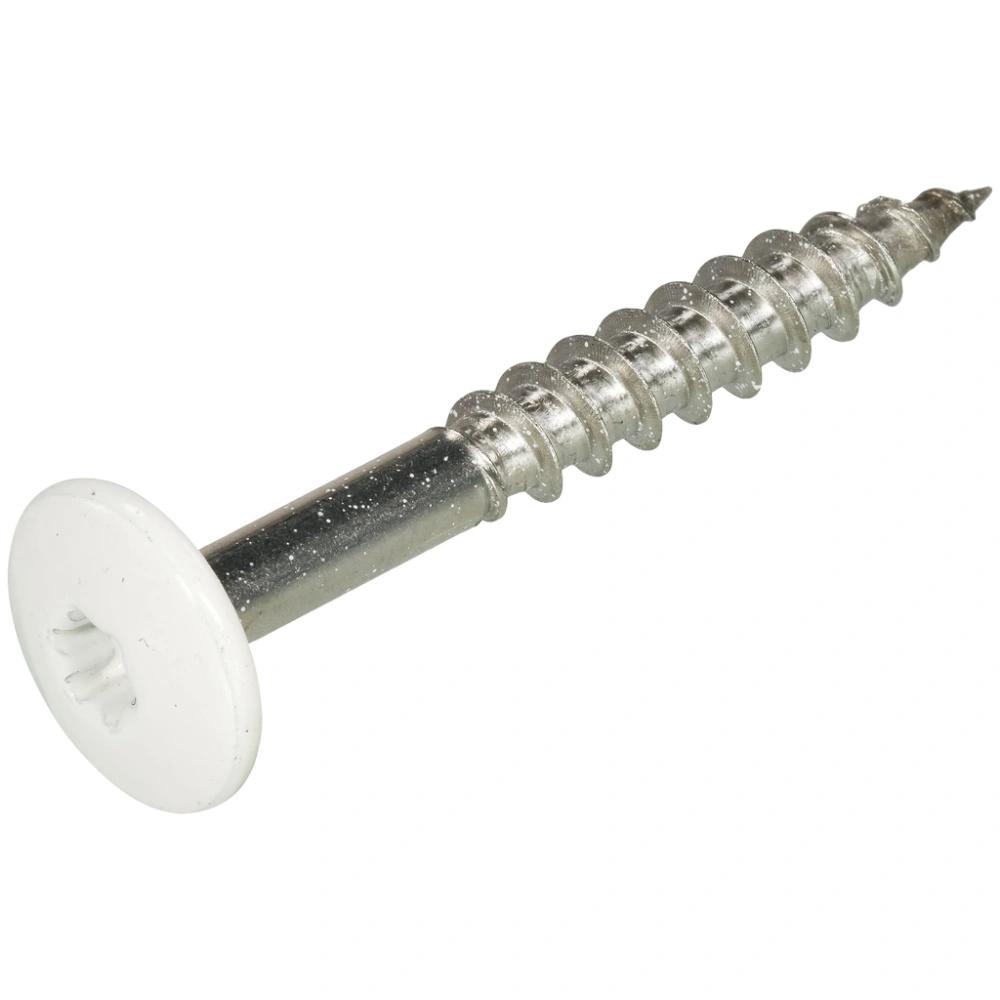 Homefix Kleurkopschroef Rvs-A2 Torx TX20 Zwart Ral9005 4.8X38 | 8 stuks 6701.60.37040