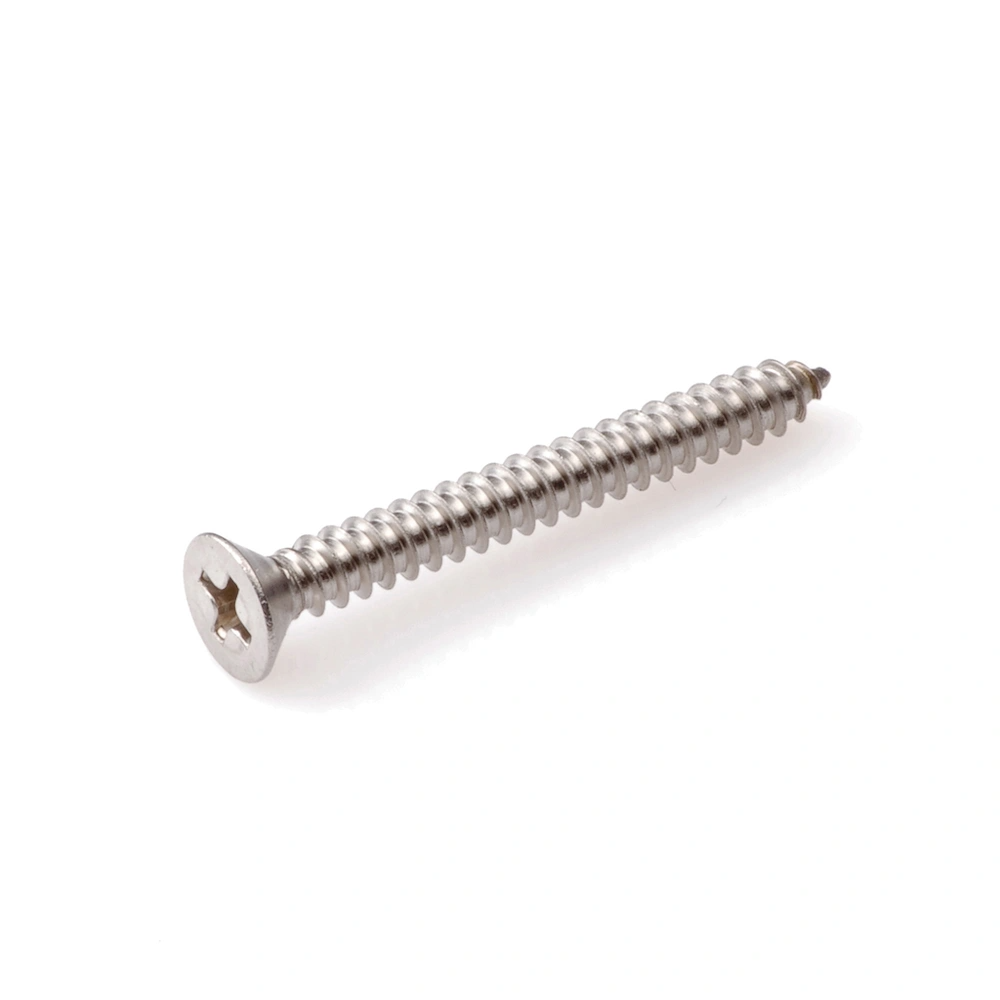 Homefix Plaatschroef Rvs-A2 Pk PH2 4.2X19 | 15 stuks - 6701.60.21030