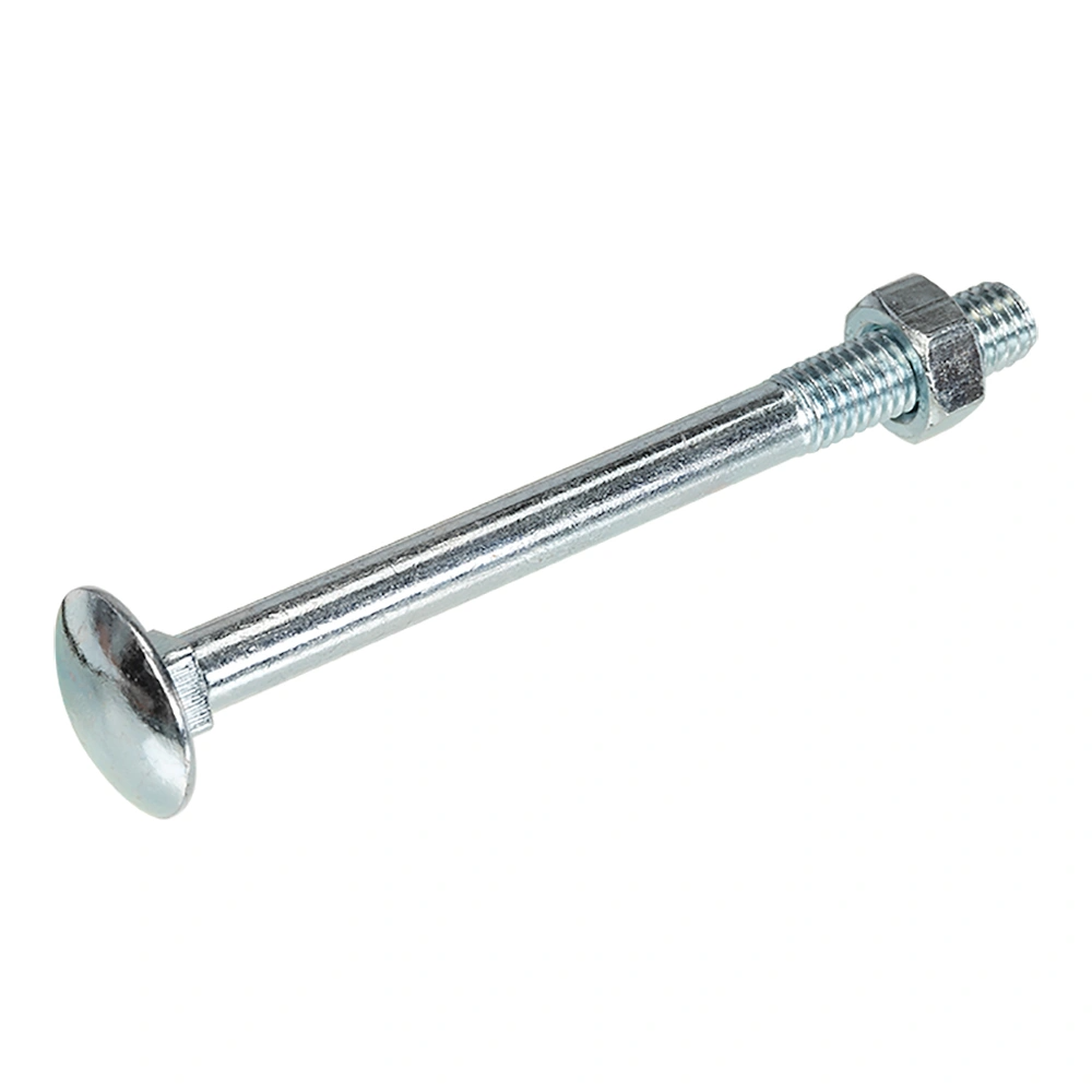Homefix Slotbout Vz 4.6 + Moer Din603/555 M8X100 | 10 stuks - 6702.50.40140