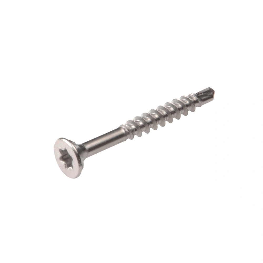 Homefix Hardhoutschroef Rvs-410 Pk Torx TX20 4.0X50 | 100 stuks 6702.60.34030
