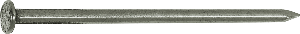 Connex Nagel Platte Kop 3.1X70 750G Fe - KK1013170
