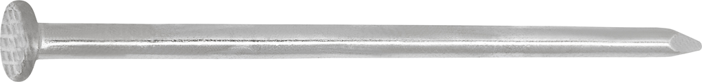 Connex Nagel Platte Kop 2.8X65 750G Vz - KK1042865