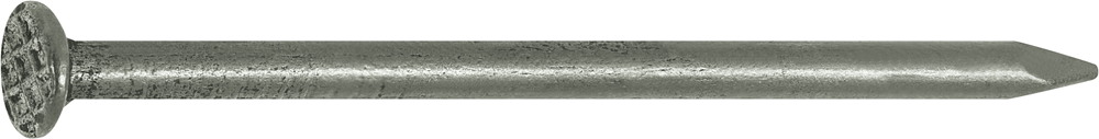 Connex Nagel Platte Kop 1.6X30 115G Fe - KY1011630