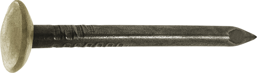Connex Staalnagel Ms-K 25Mm Gebl. 50St St - KY1212025