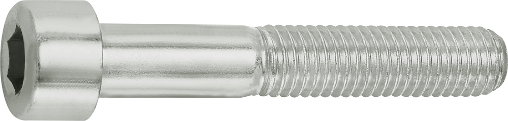 Connex Binnenzeskantbout Cy M10X60 2St Vz - KY4121060