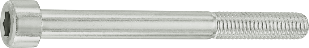 Connex Binnenzeskantbout Cy M10X100 * 2 Vz - KY4121100