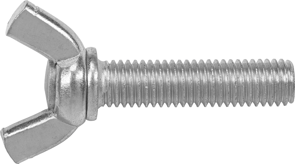 Connex Vleugelbout M10X40 2St Vz - KY4171040
