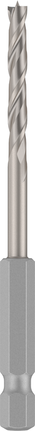 Bosch Accessoires PRO Wood Houtspiraalboor | 1/4" zeskantschacht | 4 x 43 x 88 mm - 2608577701