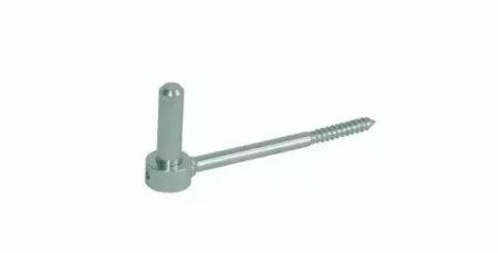 Waelbers Schroefduim 16X145 Mm Gv - 10 stuk(s) - 8391.44