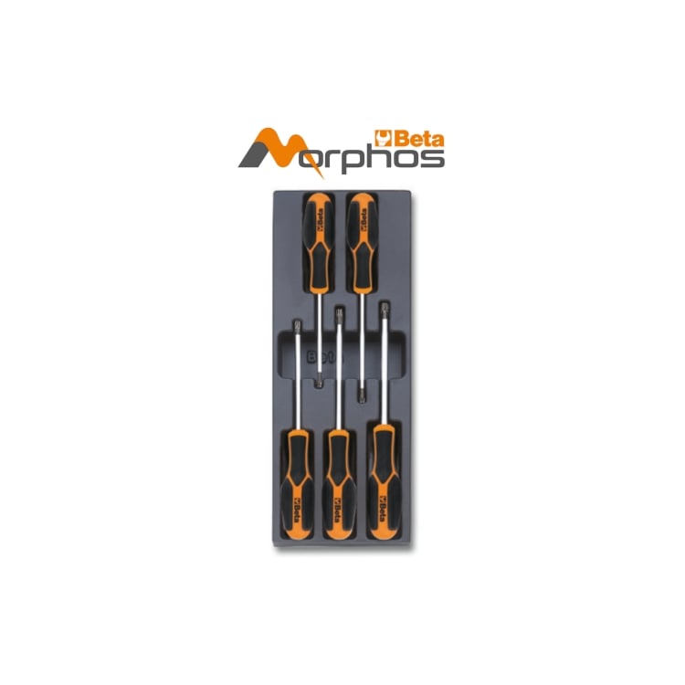 Beta T206MH Harde Inlegbak met 5 Gereedschap - 024240246