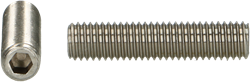 pgb-Europe PGB-FASTENERS | Stelschroef DIN 913 M4x12 A2 | 200 st 000913A00004000123