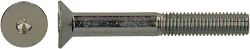 pgb-Europe PGB-FASTENERS | BZK-schroef VZK VD D. 7991 M5x12 A2 | 200 st - 007991A70005000123