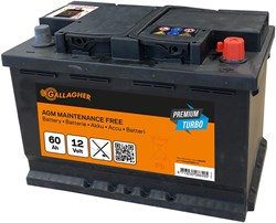 Gallagher Accu 12V/60Ah Premium Turbo AGM - 242x175x190 - 086405 086405