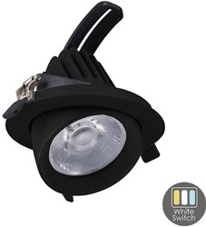CCT LED downlighter zwart 30W banaan model 45gr. Tri-White - LED2385