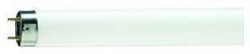 Philips TL Buis 18W/10 UV-A Philips insekt T8 - 5900550